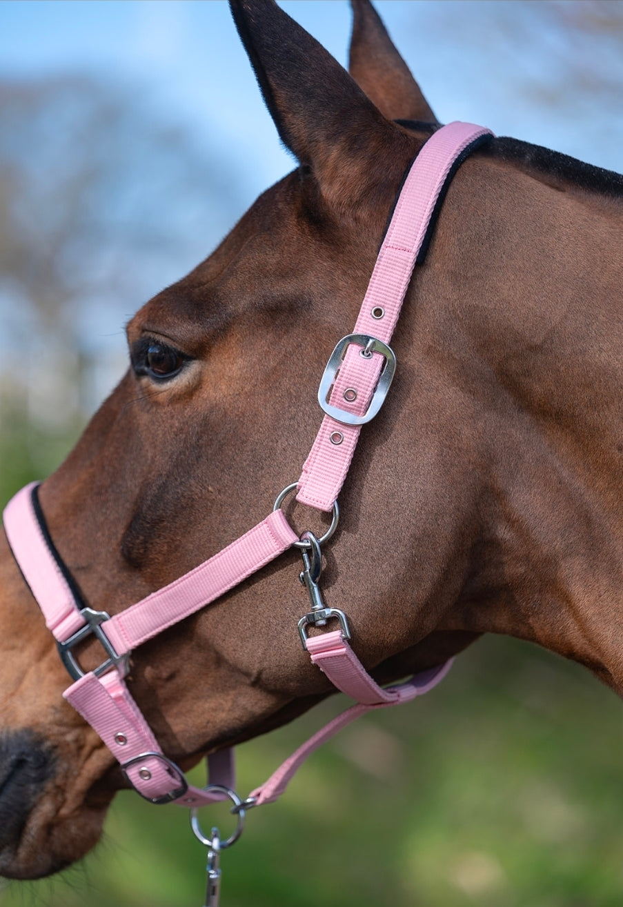Bucking Hell Equestrain