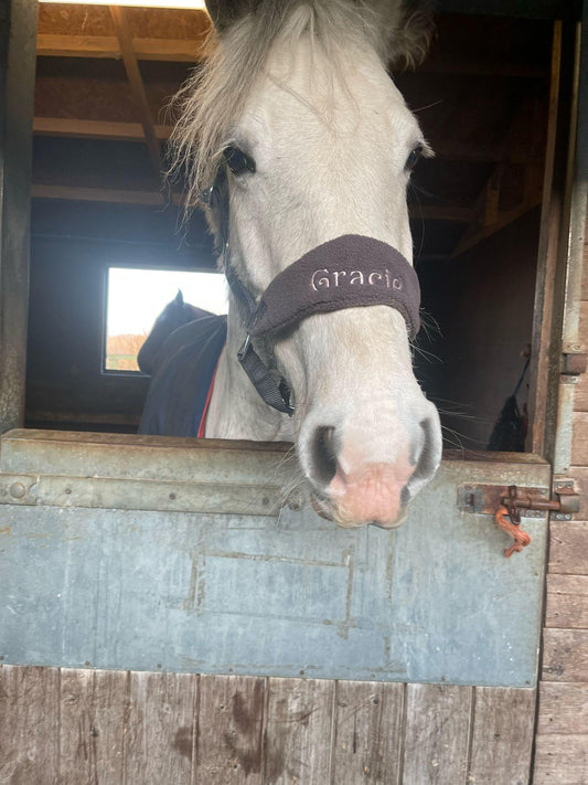 Horse wearing embroidered head collar