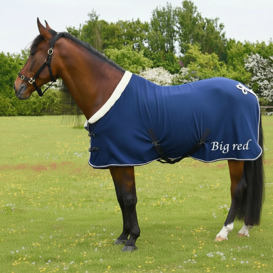 Personalised equestrian Show fleece cooler Embroidered- horse rug show name stable rug travel