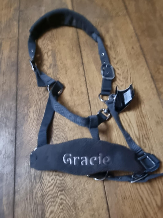 Personalised Head collar - equestrain horse pony