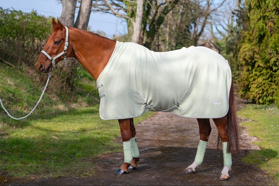 Personalised sorbet Fleece rug and matching head collar
