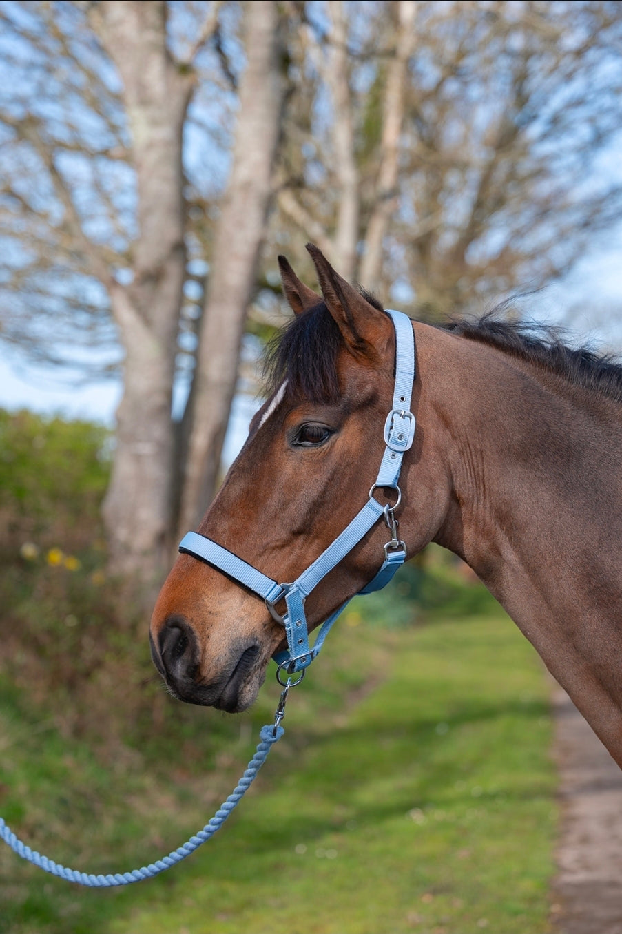 Personalised sorbet Fleece rug and matching head collar