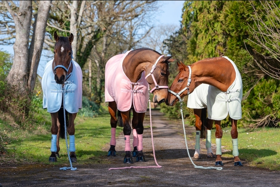 Personalised sorbet Fleece rug and matching head collar