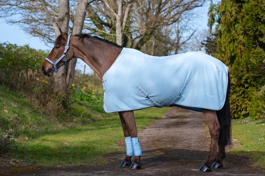 Personalised sorbet Fleece rug and matching head collar
